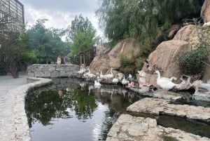 Viagem de 1 dia de Meca a Taif Mountains