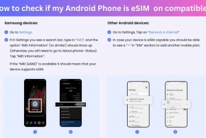 From Medina: Saudi Arabia eSIM Roaming Data Plan