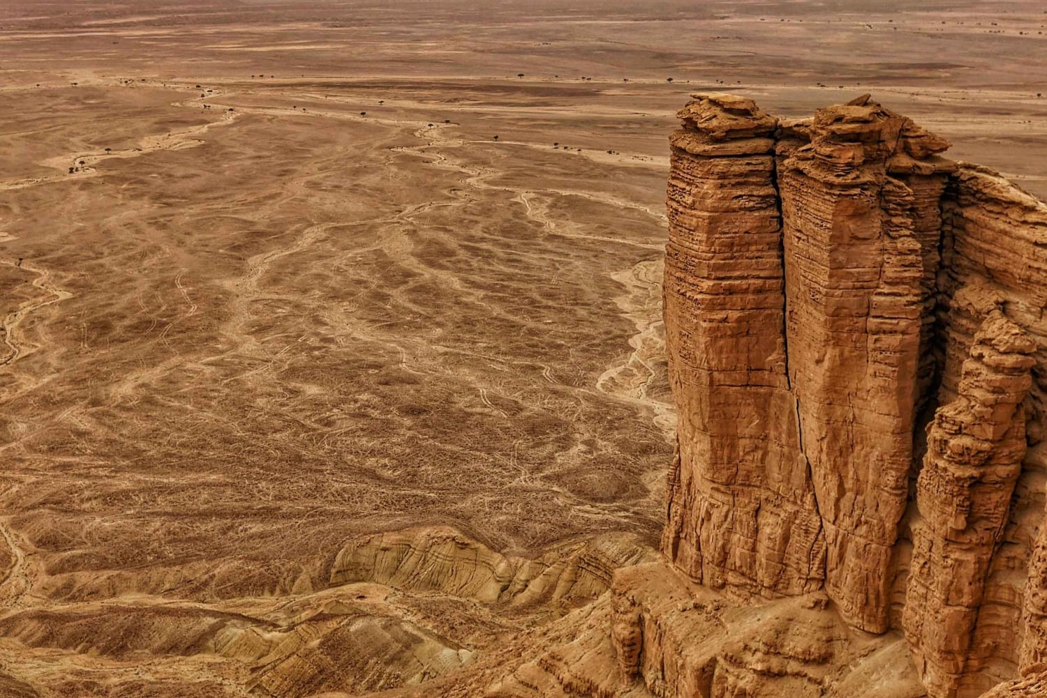 Da Riyadh: Tour privato guidato ai confini del mondo