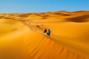 From Riyadh: Morning Desert Safari with Transfer