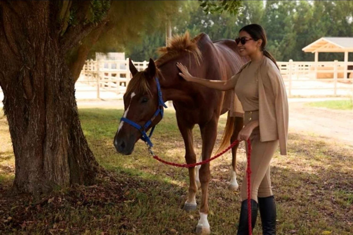 Из Эр-Рияда: Частная однодневная поездка в парк дикой природы Нофа