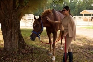 Из Эр-Рияда: Частная однодневная поездка в парк дикой природы Нофа