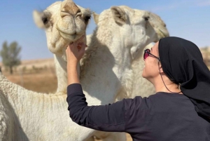From Riyadh: Tuwaiq Mountain and Old Camel Tracks Day Trip