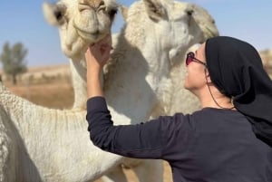 Fra Riyadh: Dagstur til Tuwaiq-fjellet og gamle kamelspor