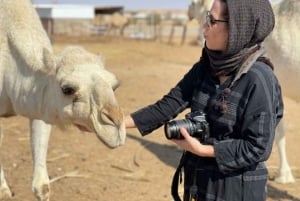 Fra Riyadh: Dagstur til Tuwaiq-fjellet og gamle kamelspor