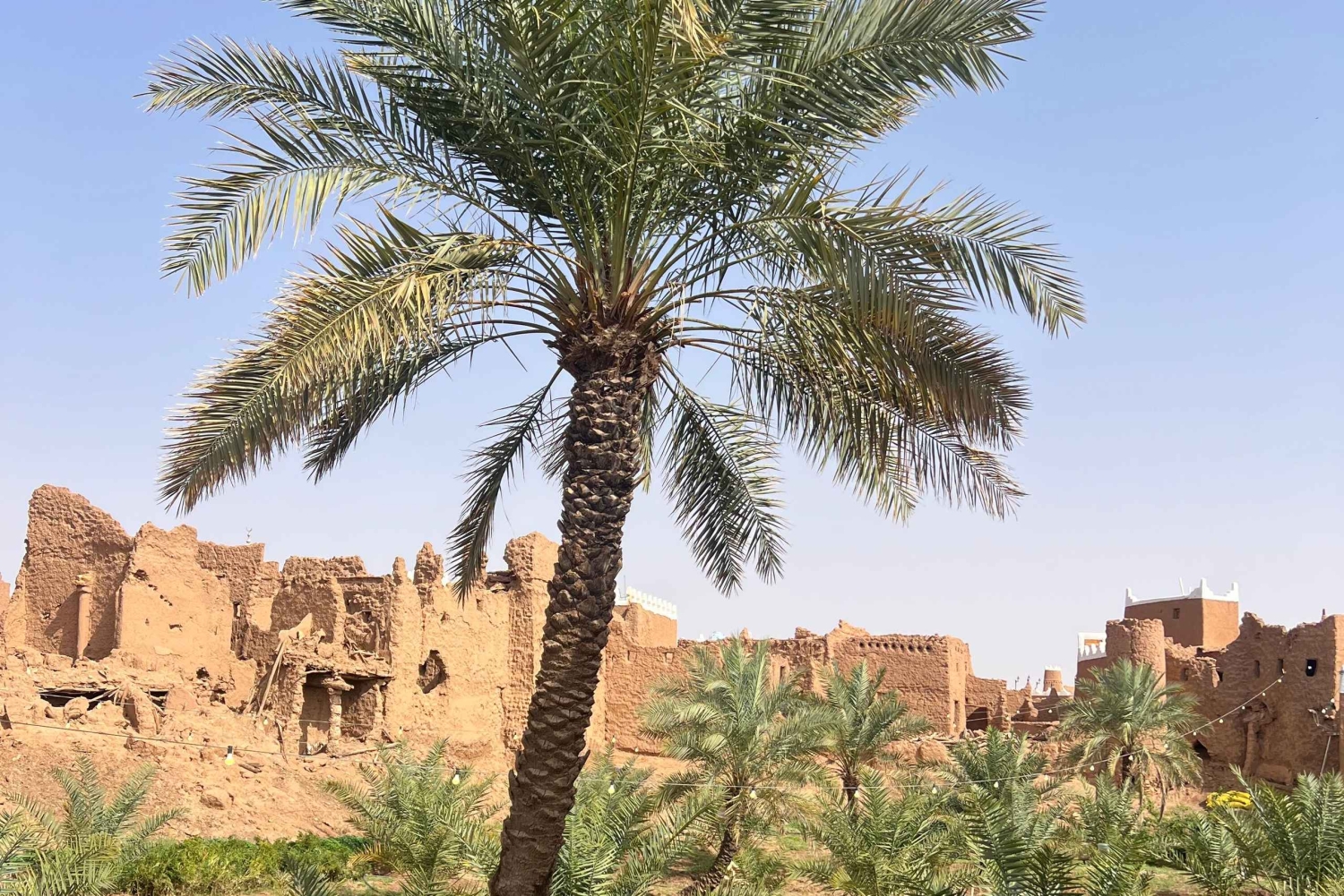 A partir de Riade: Viagem de 1 dia à Aldeia Patrimonial de Ushaiqer