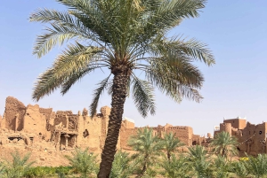 A partir de Riade: Viagem de 1 dia à Aldeia Patrimonial de Ushaiqer