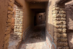 A partir de Riade: Viagem de 1 dia à Aldeia Patrimonial de Ushaiqer