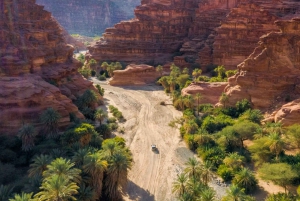 From Tabuk: Wadi Al Disah Tour