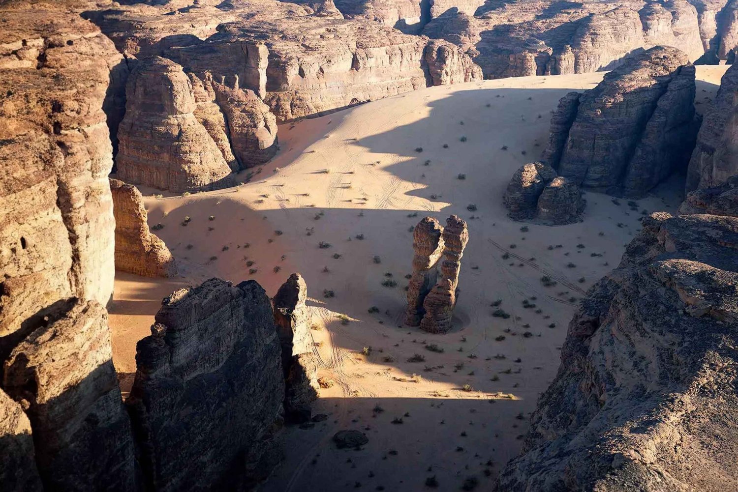 Tour di un giorno intero di AlUla con cena