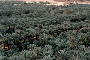 Maravillas de Al-Ula: Hegra, Dadan, Ikmah y la Roca del Elefante