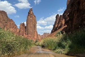 Full day tour A tour through Wadi Al Disa