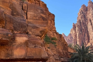 Full day tour A tour through Wadi Al Disa