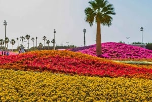 Guided Tour in Yanbu The City of Springs