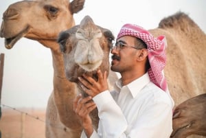 リヤド砂漠の中心でのラクダ牧場訪問