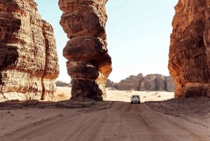 Hegra Tour: AlUla’s No.1 Haven For Nature, Wildlife Lovers