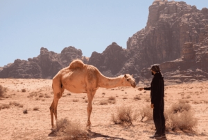 Aventure dans le désert de Hisma avec Keshta Experience