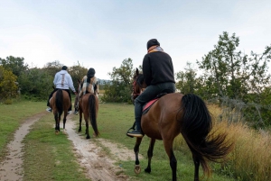 Horse Riding Experience