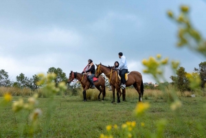 Horse Riding Experience