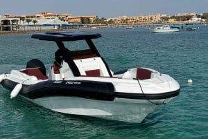 Hurghada: pikavene, delfiinit, snorklaus ja 2 saarta