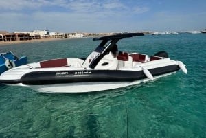 Hurghada: pikavene, delfiinit, snorklaus ja 2 saarta