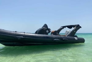 Hurghada: pikavene, delfiinit, snorklaus ja 2 saarta