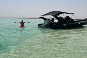 Hurghada: pikavene, delfiinit, snorklaus ja 2 saarta