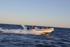 Hurghada: pikavene, delfiinit, snorklaus ja 2 saarta