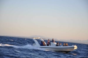 Hurghada: pikavene, delfiinit, snorklaus ja 2 saarta