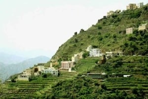 Jazan: Fifa Mountain and City Highlights Guided Day Trip