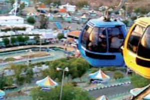 Jeddah: 5-daagse tour met Medina, Taif en cruise op de Rode Zee
