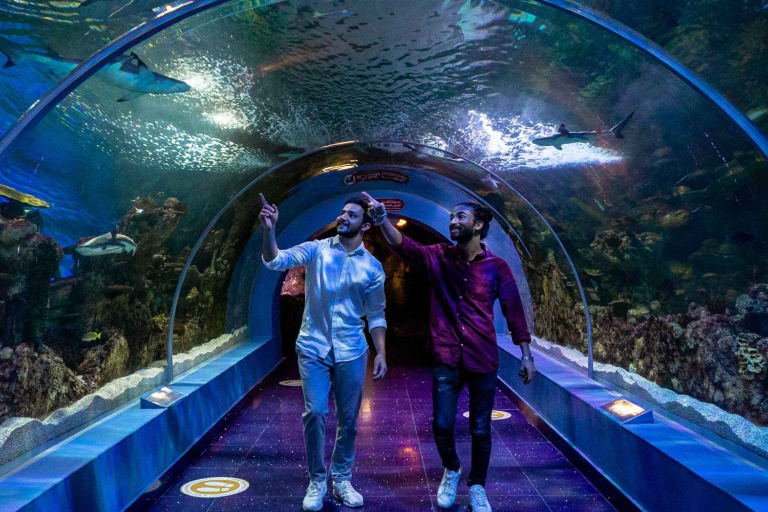 ジェッダ：水族館と水上モスクとヨットクラブ