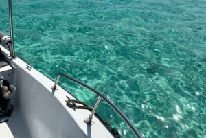 Djeddah : croisière aux îles Bayadah avec plongée en apnée