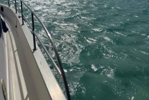 Jeddah: boottocht naar Bayada-eiland met lunch