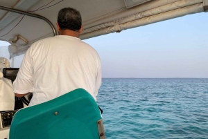 Jeddah: City Highlights Tour with Local Guide