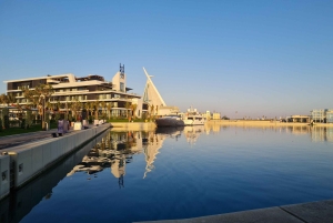 Jeddah: City tour include old Jeddah OR Safari