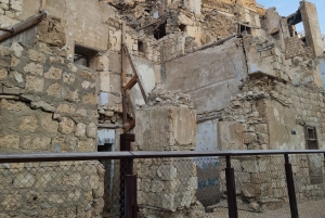 Jeddah: City tour include old Jeddah OR Safari