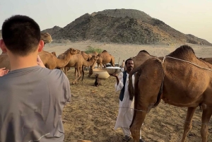 Jeddah: City tour include old Jeddah OR Safari