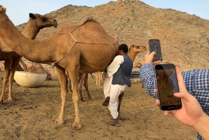 Jeddah: City tour include old Jeddah OR Safari