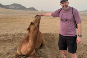 Safari nel deserto di Jeddah: quad, fattoria di cammelli e tramonto