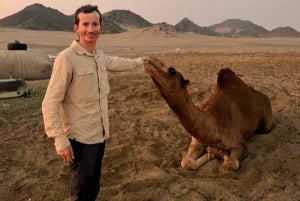 Safari nel deserto di Jeddah: quad, fattoria di cammelli e tramonto