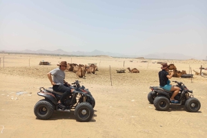 Safari nel deserto di Jeddah: quad, fattoria di cammelli e tramonto