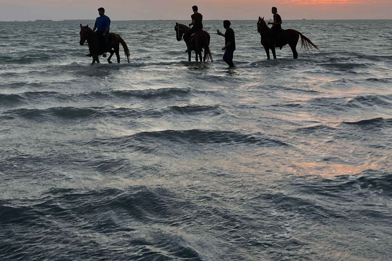 Jeddah: Geführte Reittour