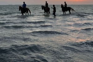 Jeddah: Geführte Reittour