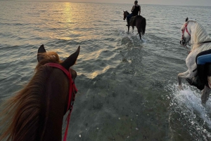 Jeddah: Geführte Reittour