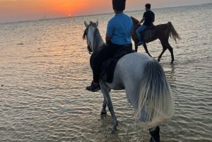 Jeddah: Geführte Reittour