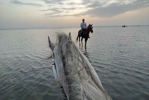 Jeddah: Geführte Reittour