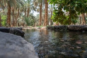 Djeddah : visite privative de La Mecque et Médine avec transfert