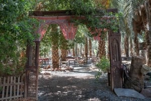 Djeddah : visite privative de La Mecque et Médine avec transfert