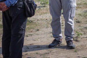 Dżudda: Wędrówka po Górach Księżycowych i joga o zachodzie słońca